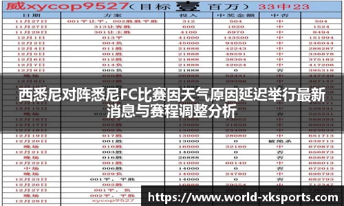 西悉尼对阵悉尼FC比赛因天气原因延迟举行最新消息与赛程调整分析